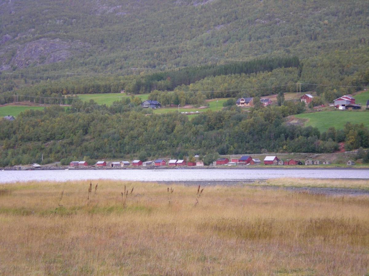 Camping Basecamp Birtavarre