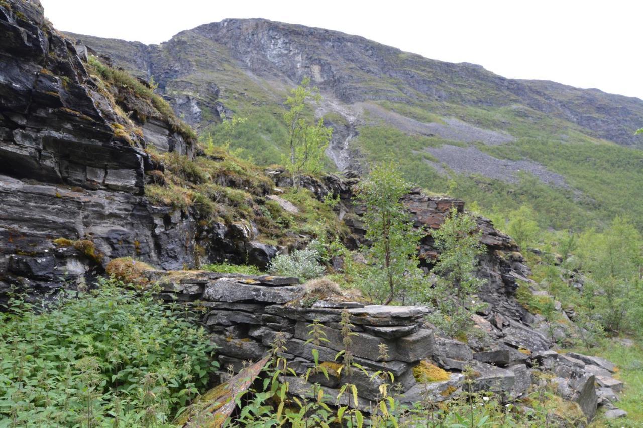 Basecamp Camping Birtavarre