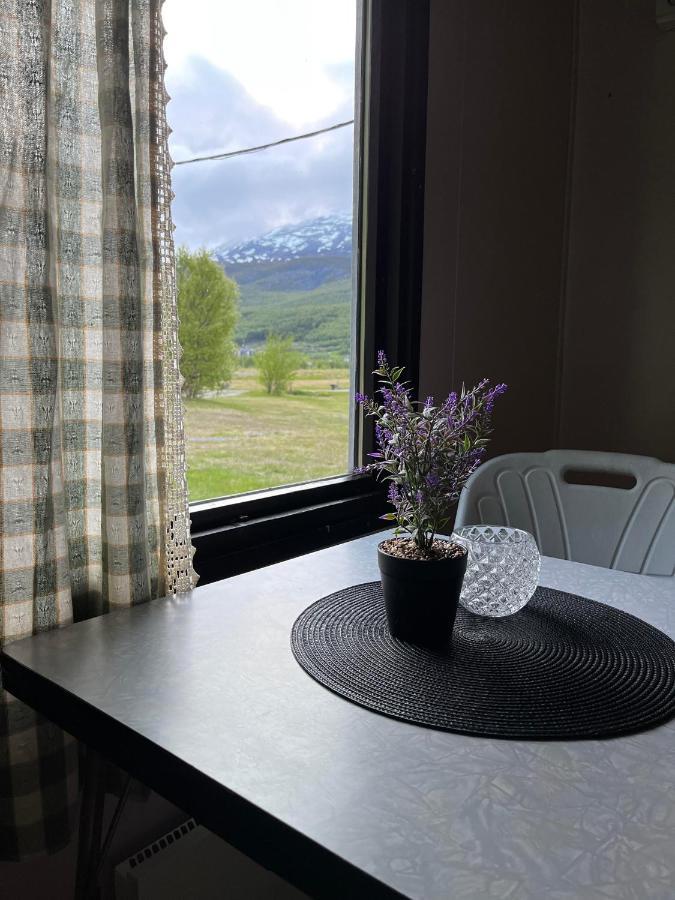 Basecamp Birtavarre