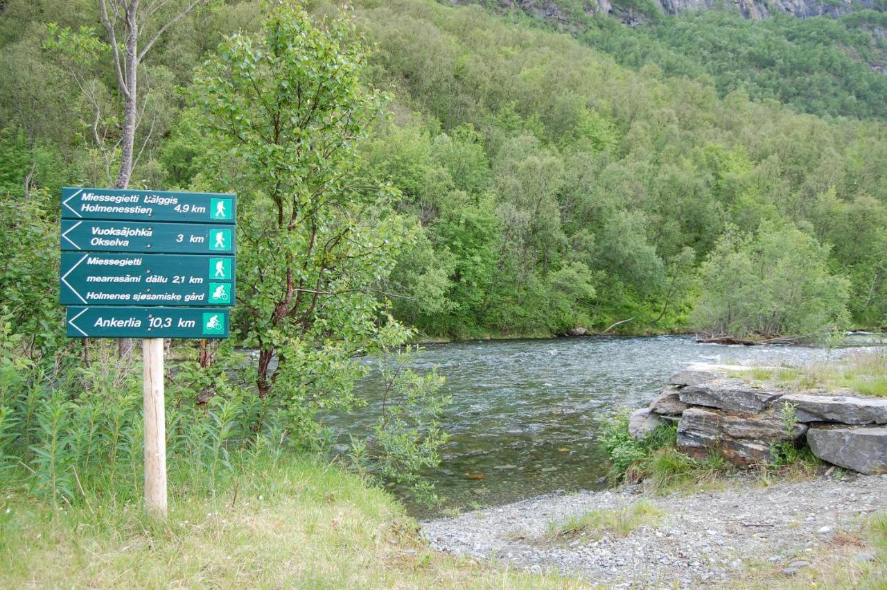Basecamp Birtavarre