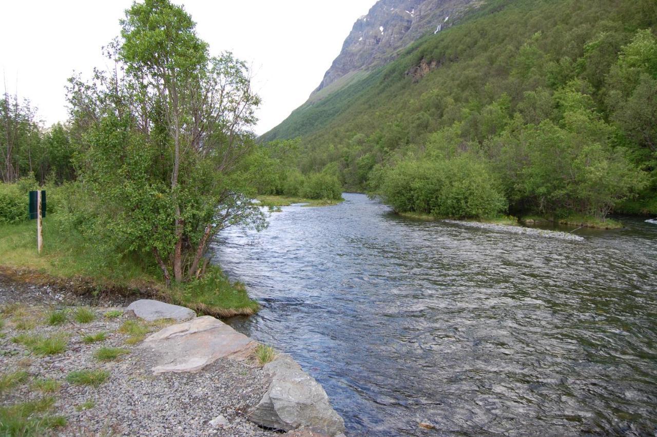 Camping Basecamp Birtavarre