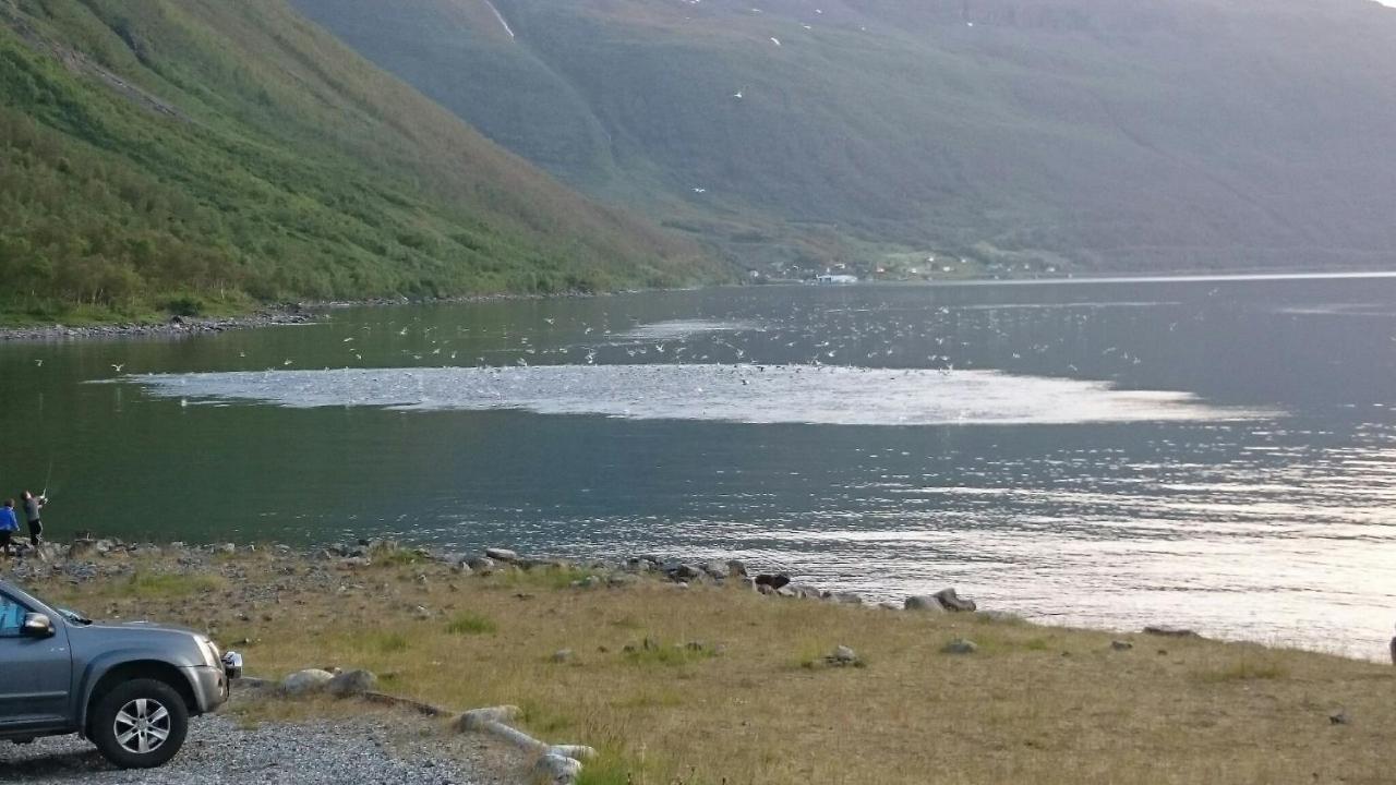 Campingplatz Basecamp Birtavarre
